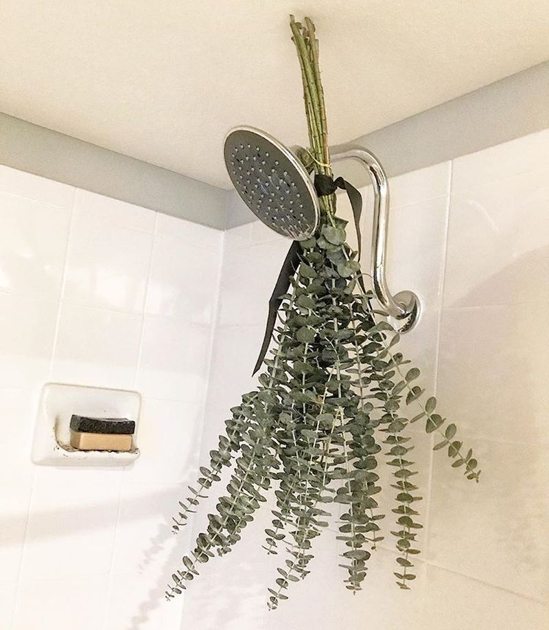 What Is Eucalyptus Shower Why Is It A Popular Instagram Trend