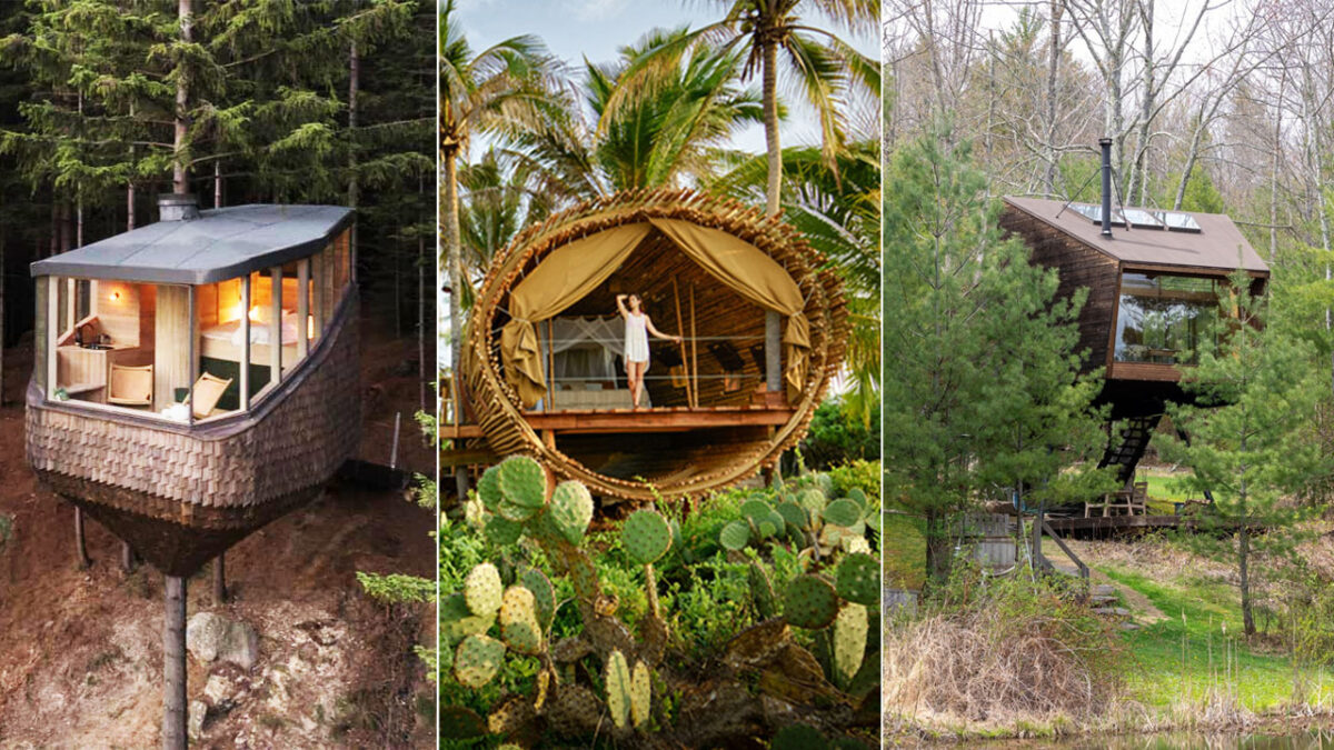 30 Best Treehouse Hotels And Rentals In The World