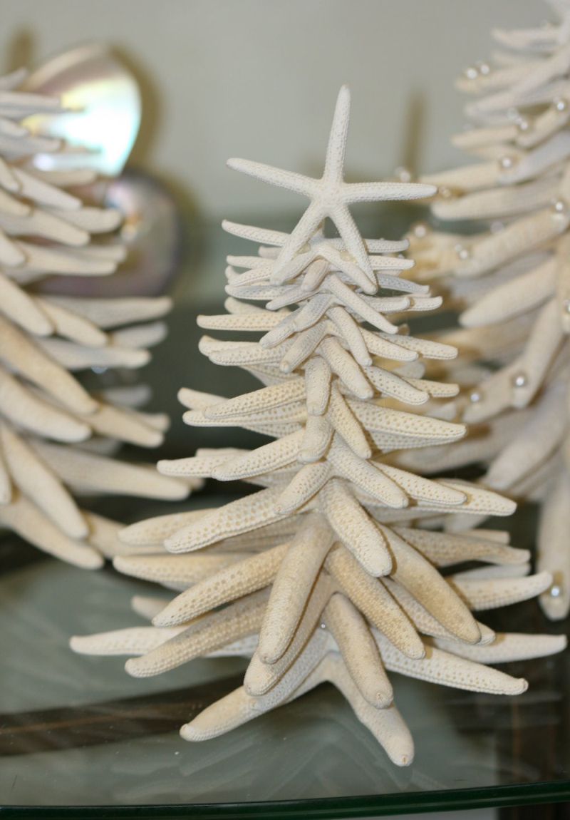 unique Starfish tabletop Christmas tree