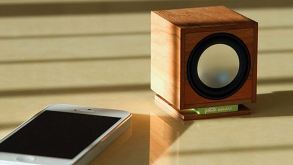 Petite Square speaker made from 50,000 year old wood
