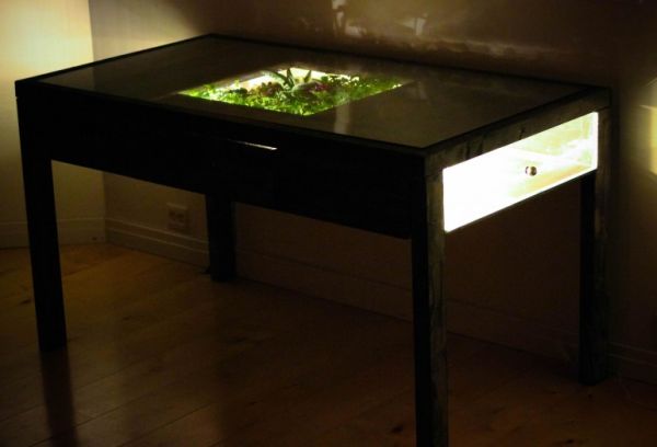 Terrarium Desk is workstation built-in with small garden - Homecrux