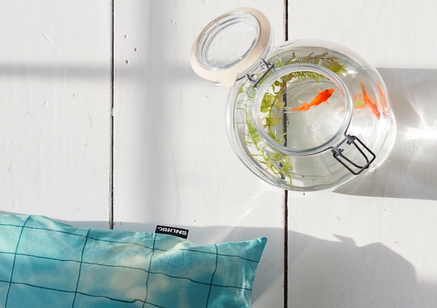Swimming Pool Themed Bedding Yes Its A Thing - Swimming Pool Themed Bedding Swimming Pool Themed Bedding Yes Its A Thing - Swimming Pool Themed Bedding