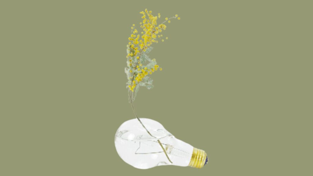 light bulb flower vases