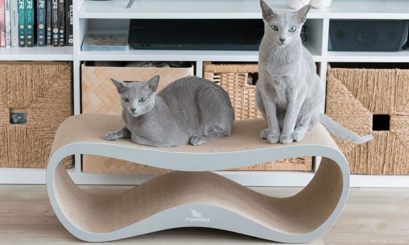 Lui Cat Scratcher by myKotty