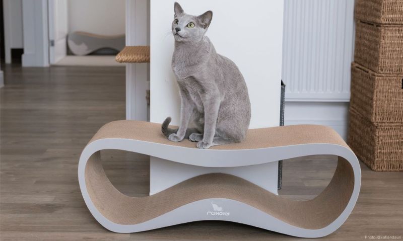 Lui Cat Scratcher by myKotty