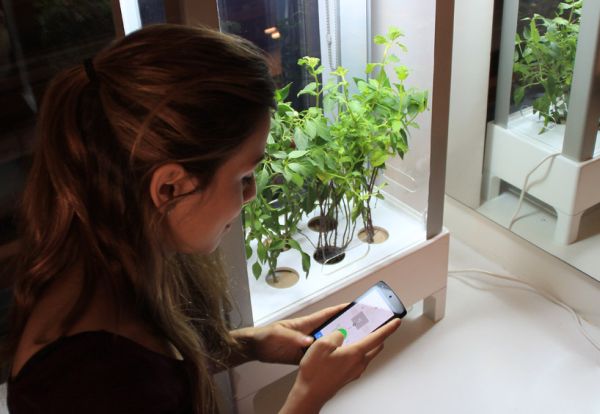 Niwa smartphone-controlled growing system