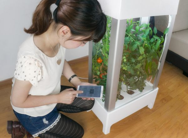 Niwa smartphone-controlled growing system