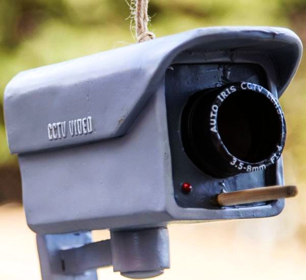 Security Camera Birdhouse