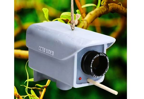 Security Camera Birdhouse