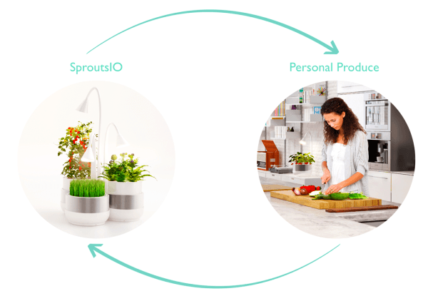 SproutsIO by Jenny Broutin Farah