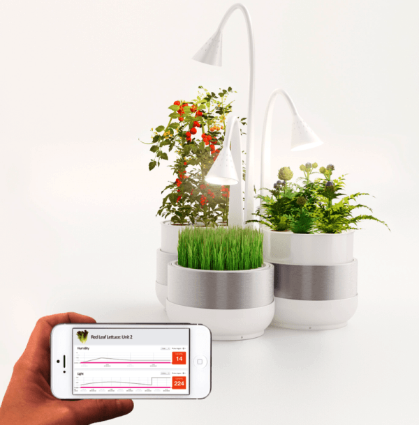 SproutsIO smartphone controlled home gardening system