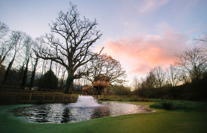 Treetops Treehouse is Built Within Branches of a 250-Year-Old Oak Tree