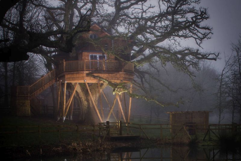 Treetops Treehouse is Built Within Branches of a 250-Year-Old Oak Tree