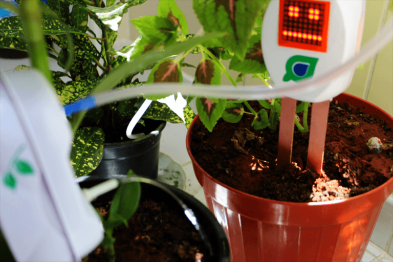 Smart Plant Watering System Depicts Plants� Health by