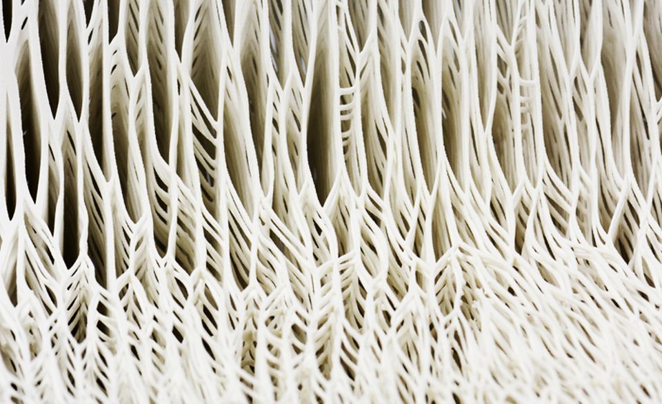 Biomimicry 3D-Printed Chair