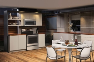 GE Smartphone-controlled Profile Series Gas and Electric Ranges