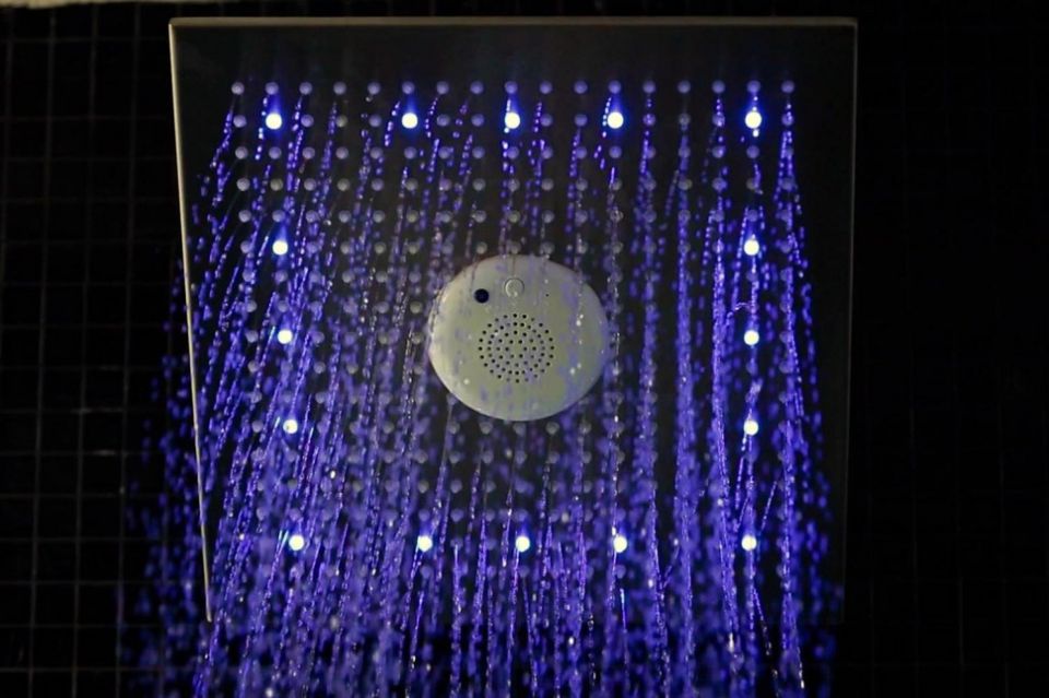 The Shower Speaker