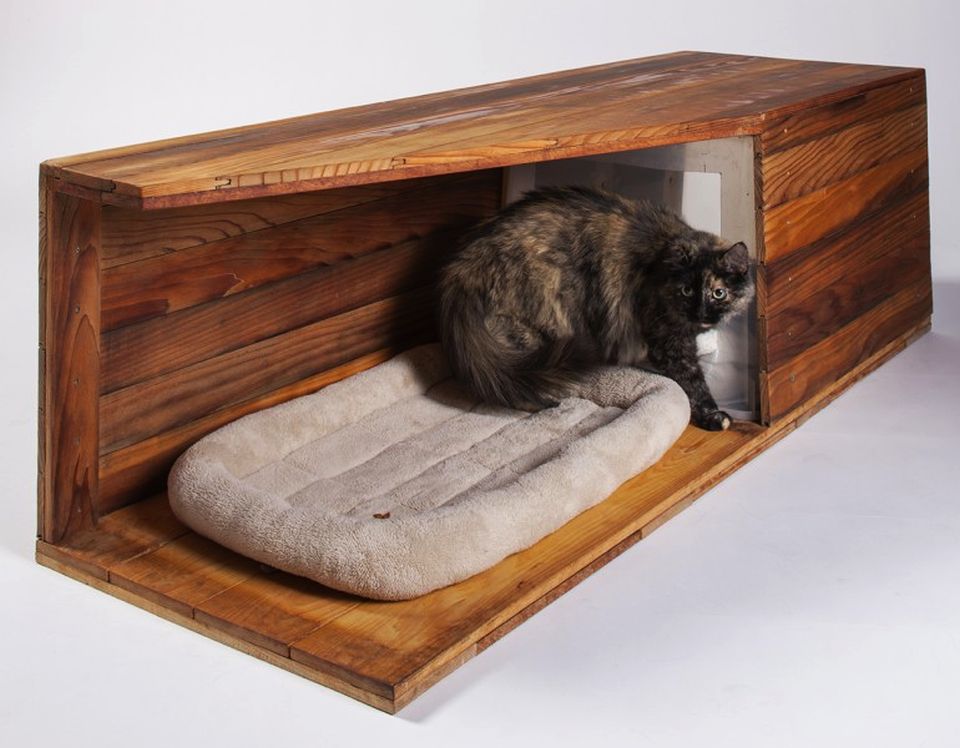 Cat Houses by Architects for Animals