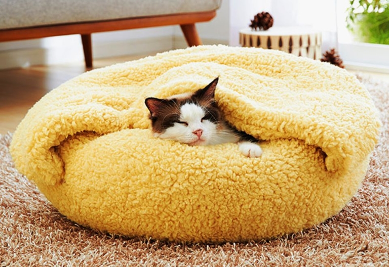Pamper your furry friend with cozy cat bed and blanket