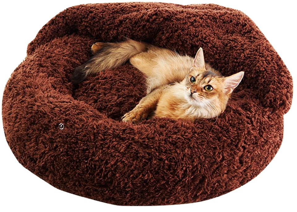 Bed and Blanket for Pets