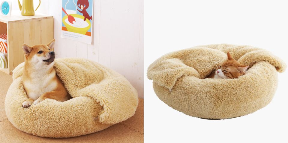 Pamper your furry friend with cozy cat bed and blanket