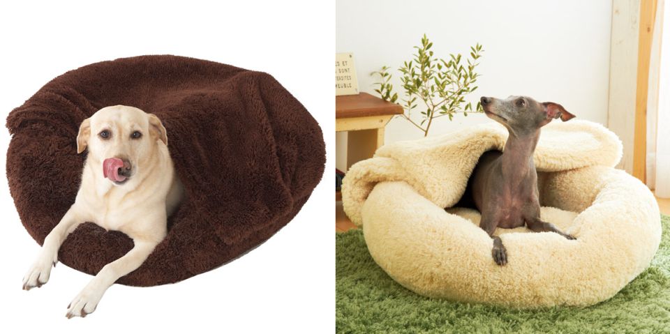 Bed and Blanket for Pets