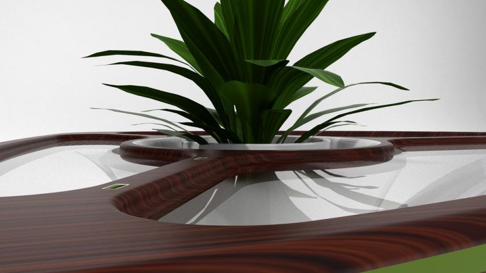 Bromelia Coffee Table