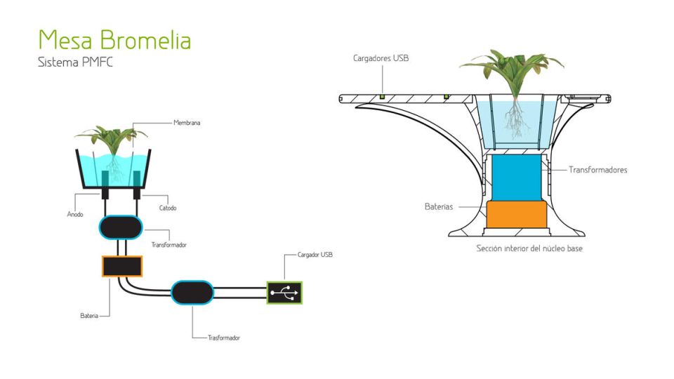 Bromelia Coffee Table