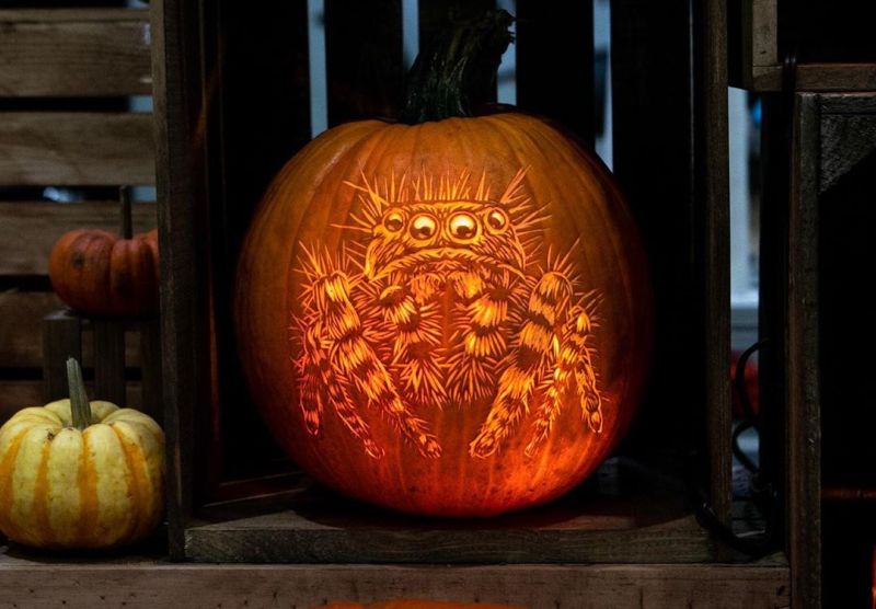 Creepy Spider pumpkin by Marc Evan of Maniac Pumpkin Carvers