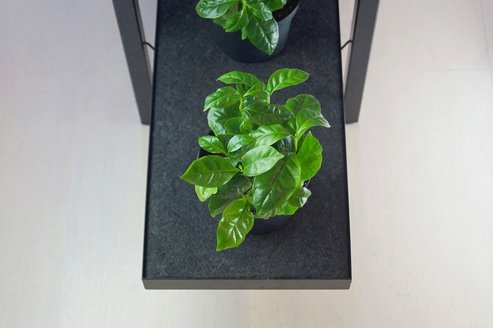 PikaPlant One Shelf Automatically Waters Plants