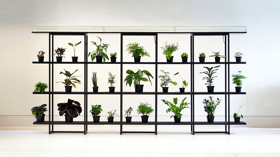 PikaPlant One Shelf Automatically Waters Plants