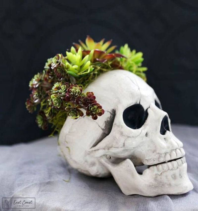 skull planter 