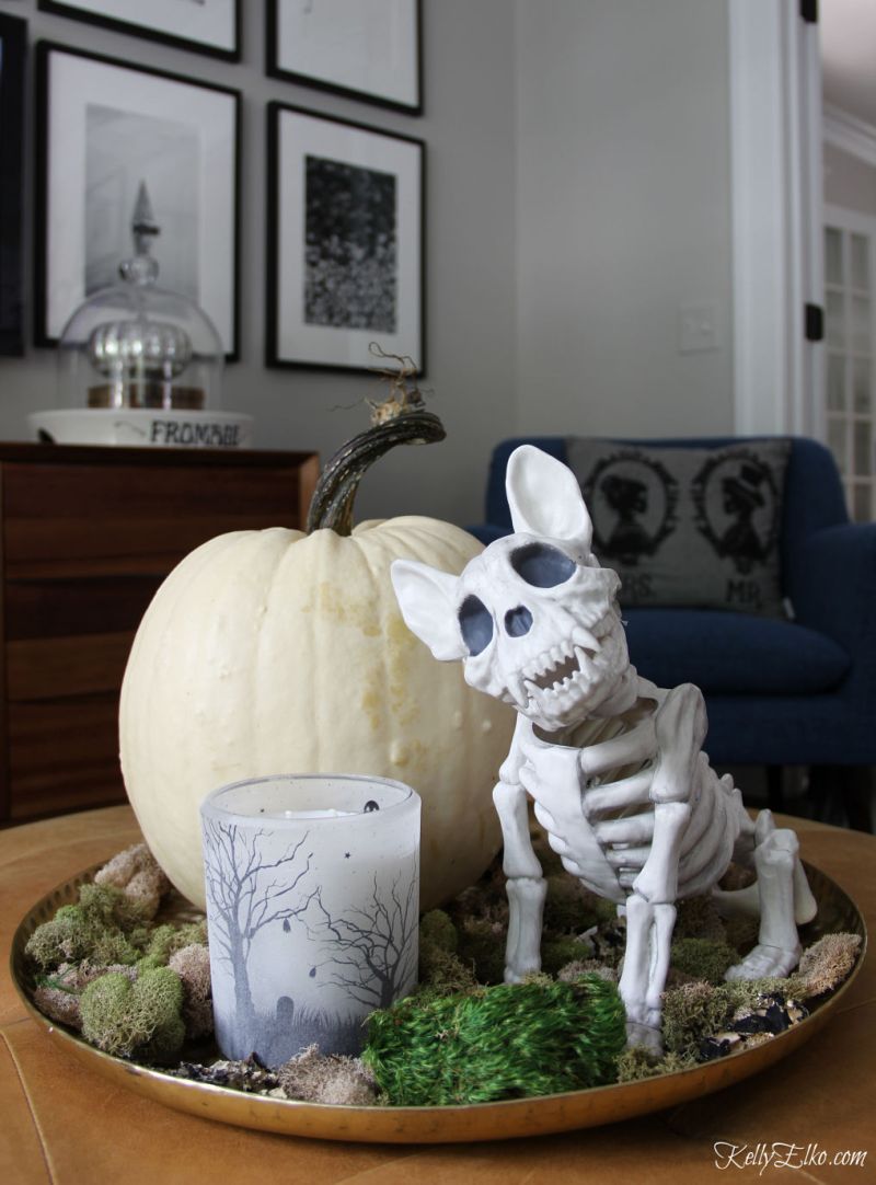 skeleton dog and pumpkin in a tray  