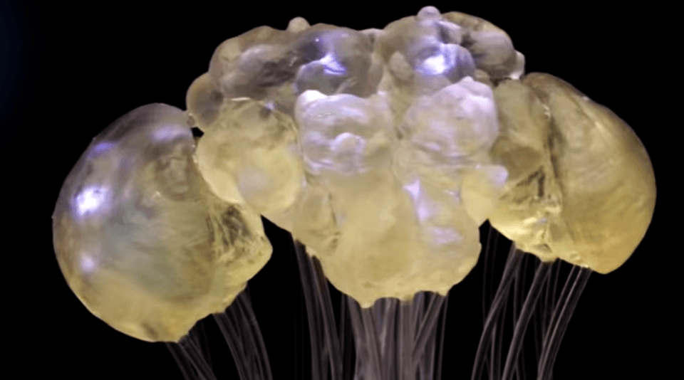 3D-Printed Lamp imitates Fruit Fly Brain Activity