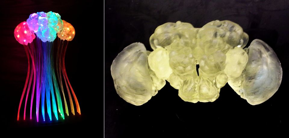 3D-Printed Lamp imitates Fruit Fly Brain Activity