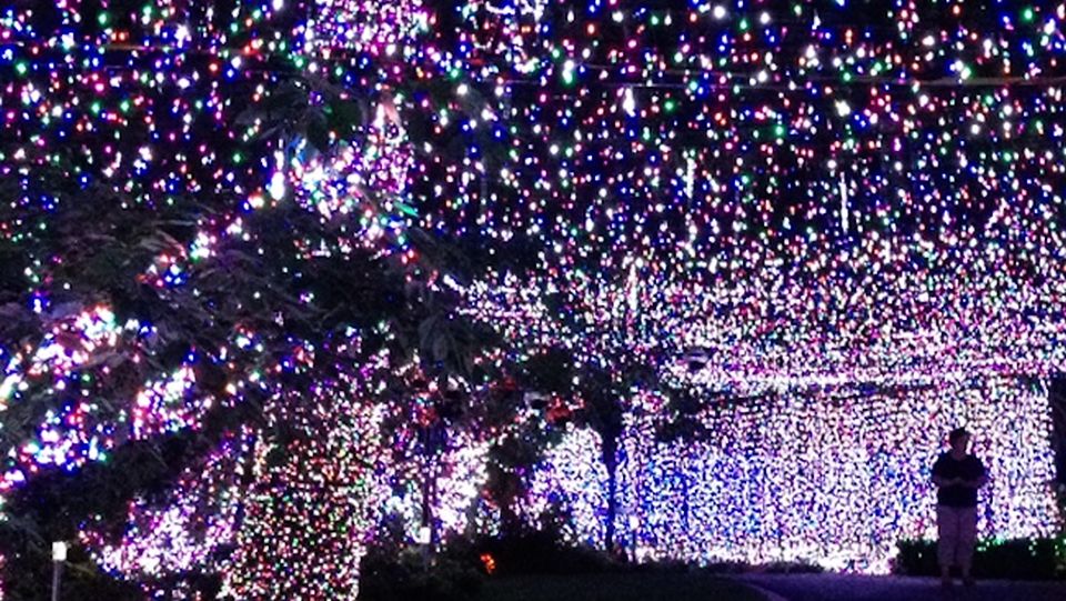 Canberra family sets world record for largest Christmas lights display