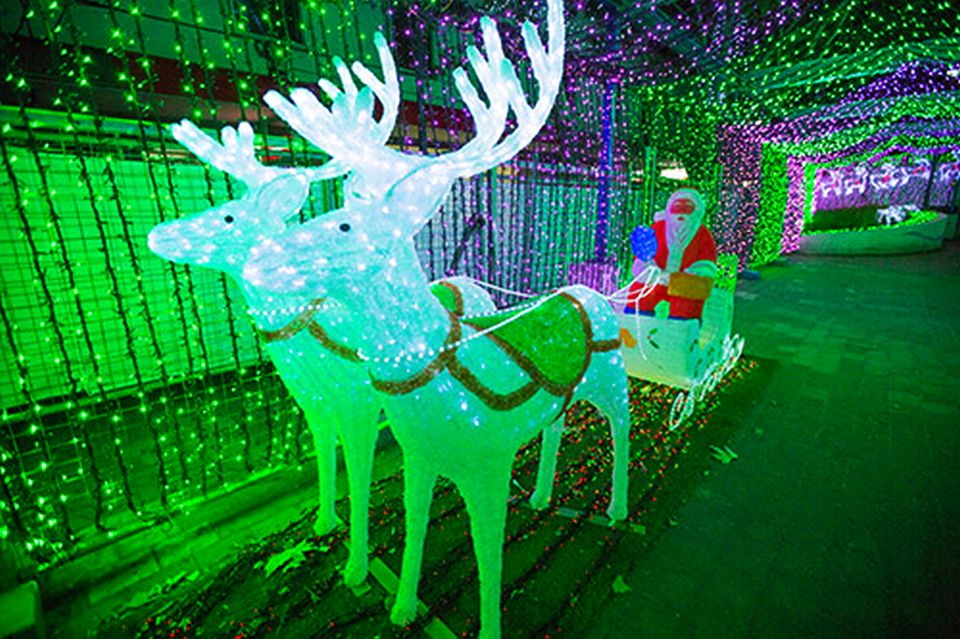 Canberra family sets world record for largest Christmas lights display