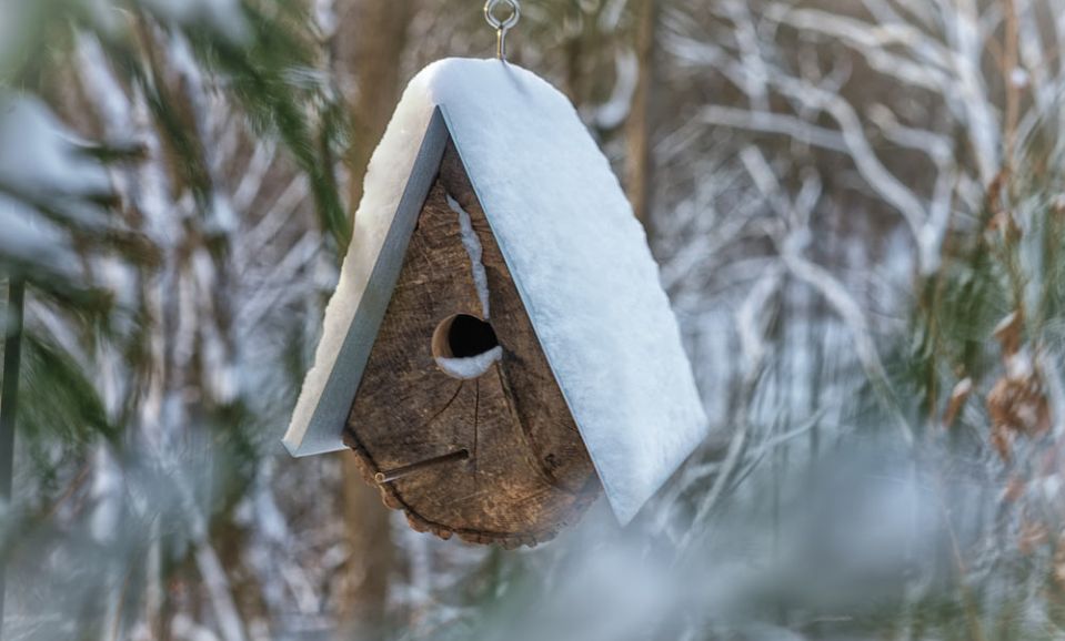 Rustic Log Quartered Birdhouses by Moger Mehrhof Architects