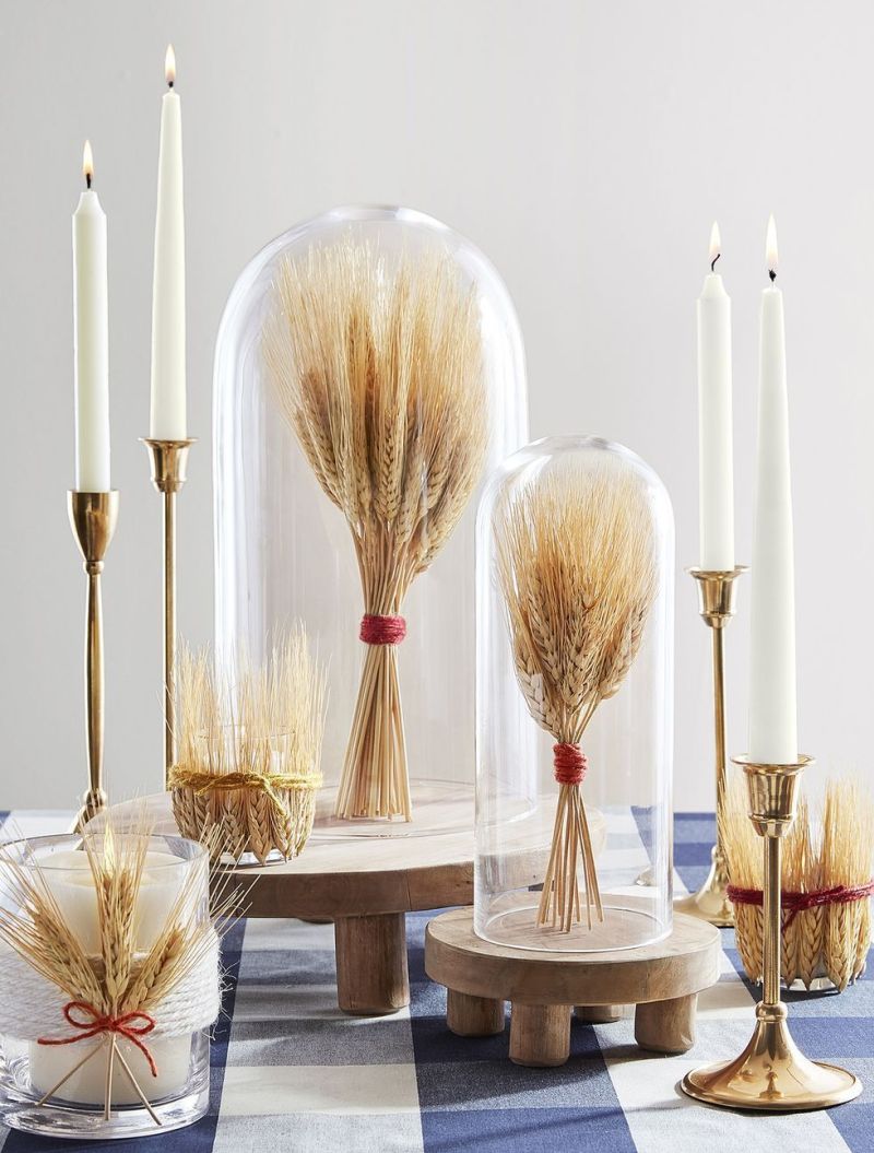 Wheat spikes displayed inside a cloche 