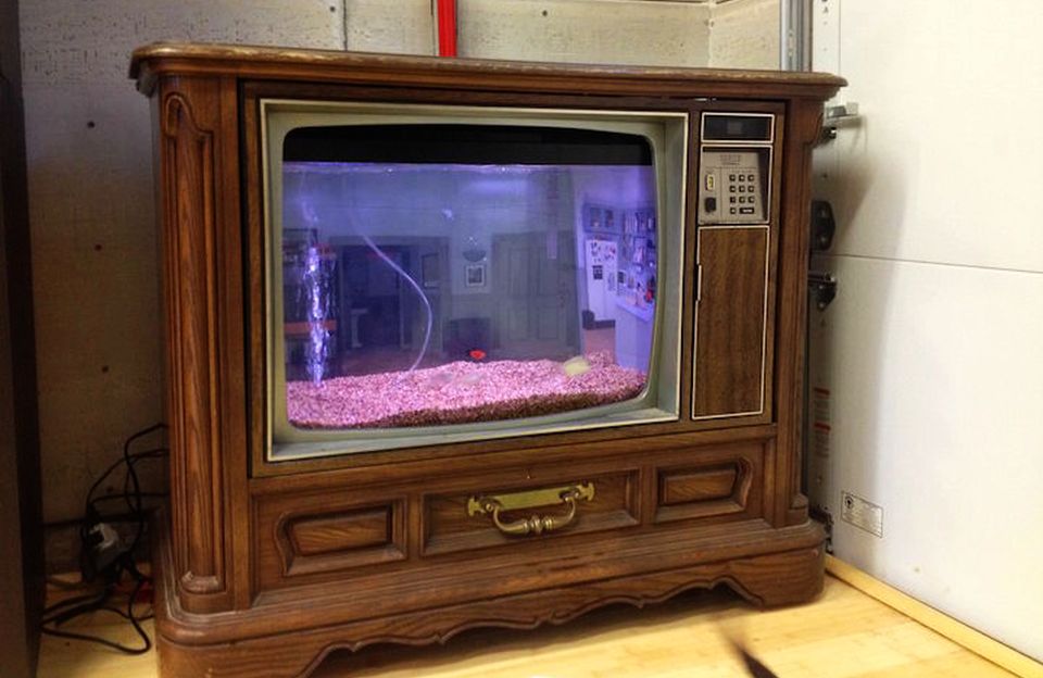 Retro TV turned into Seinfeld-themed fish tank