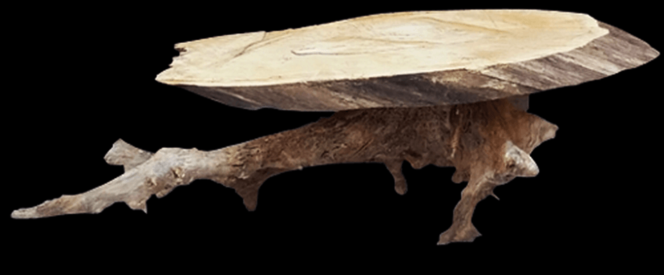 Two local men revamp fallen wood limbs into remarkable furniture