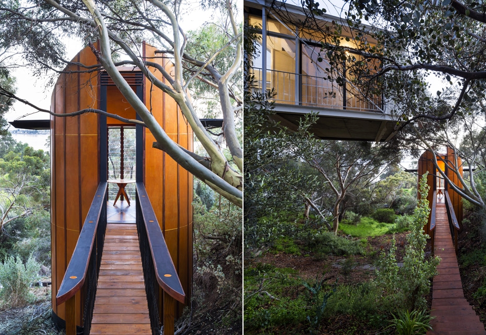 Cylindrical Treetop Studio by Max Pritchard