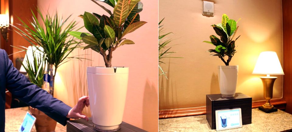 Parrot Pot and H2O Smart Sensors for Watering Plants