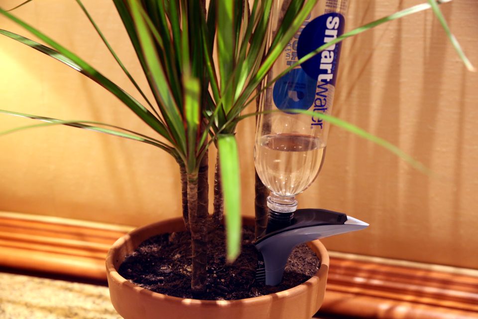 Parrot Pot and H2O Smart Sensors for Watering Plants