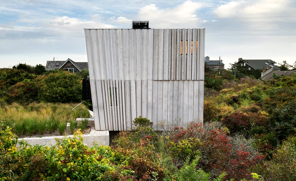 Beach Hampton by Bates Masi Architects