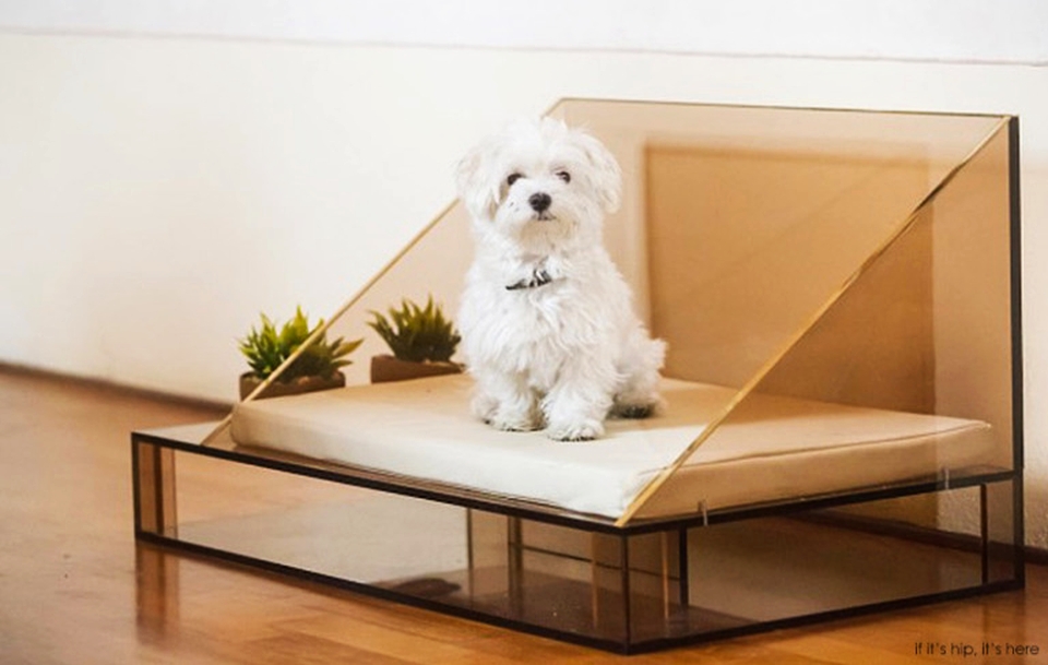 Designer dog outlet beds