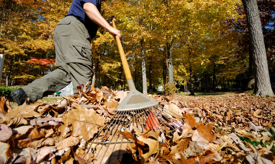 Refurbish-your-home-this-spring-season-with-easy-DIY-tips