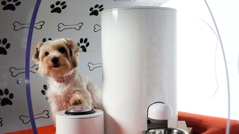 Samsung unveils $31K deluxe dog house for your canine-friend