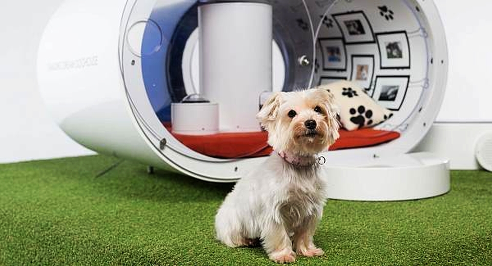 Samsung Dream Doghouse