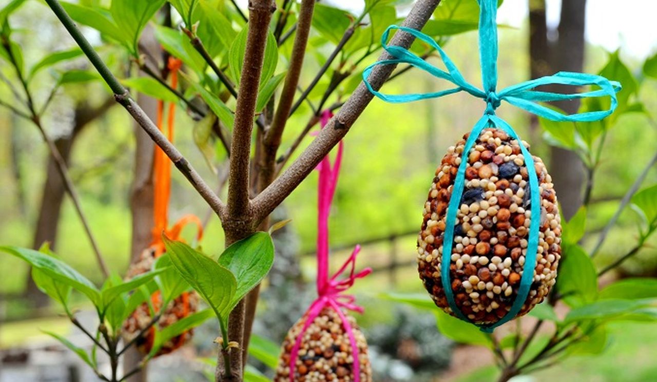 Bird feeder